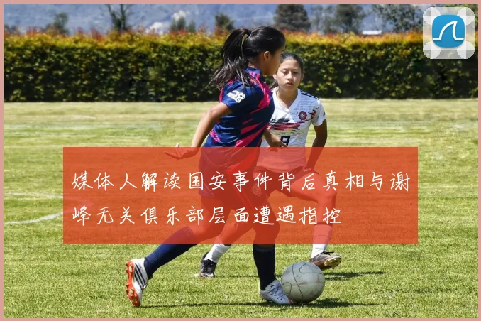 媒体人解读国安事件背后真相与谢峰无关俱乐部层面遭遇指控